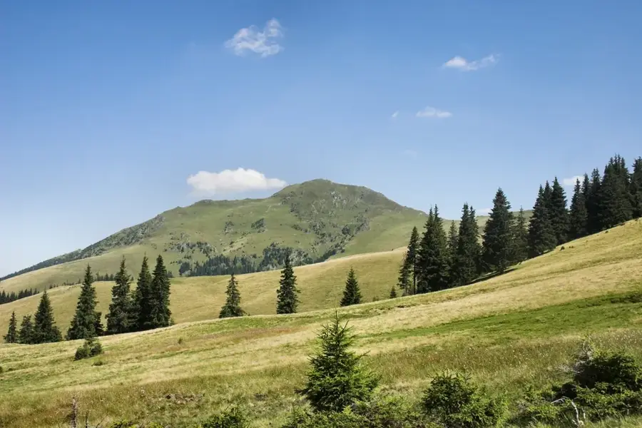 Vârful Fărcău — Borșa (România)