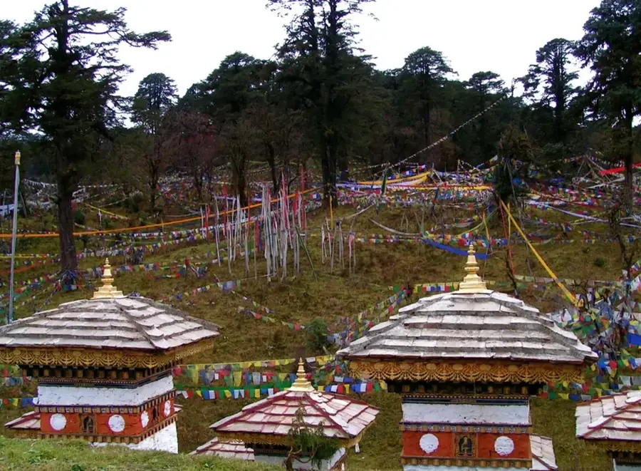 Königlicher Botanischer Park Lampelri — Daga (Bhutan)