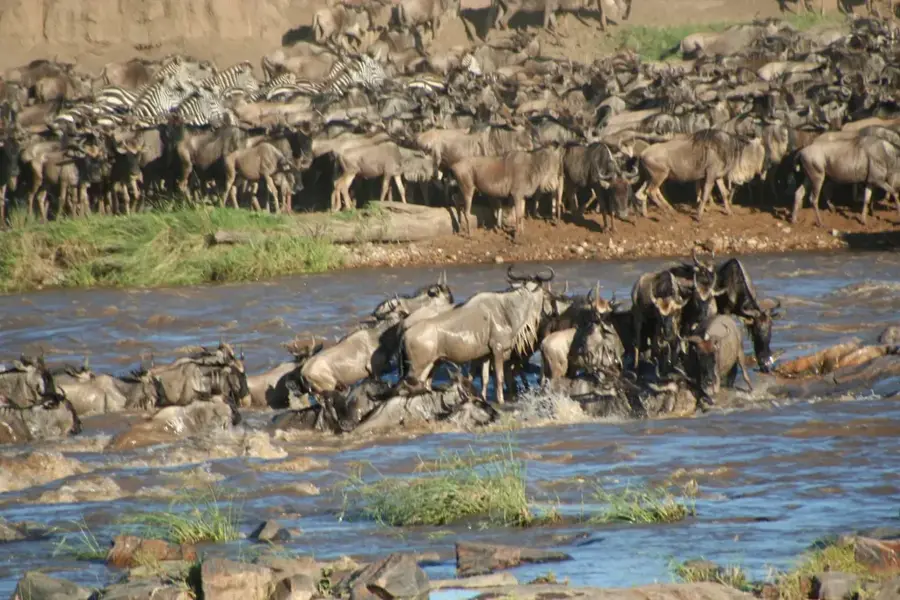 Ruaha-Tierlebensraum — Rukwasee (Tansania)