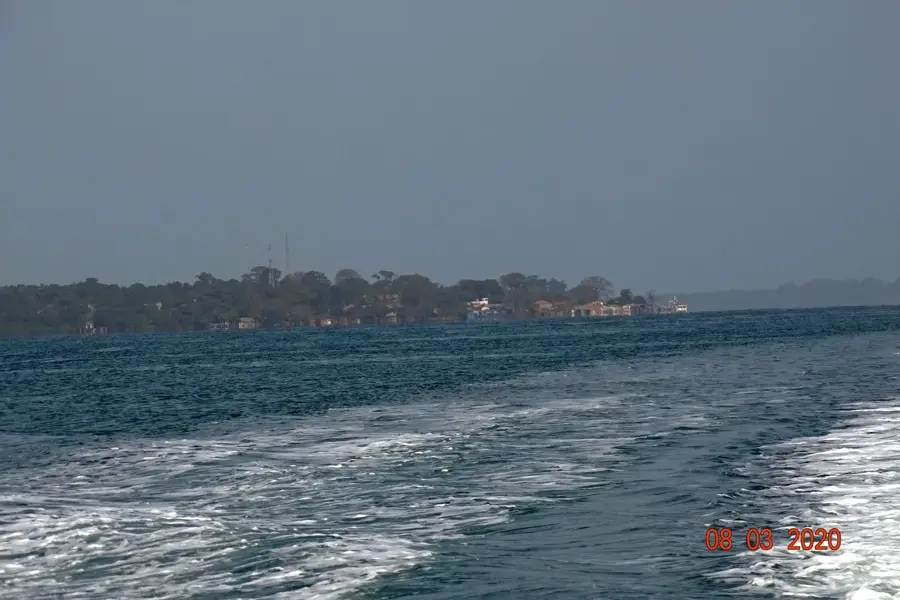 Rubane Forest — Abu (Guinea-Bissau)