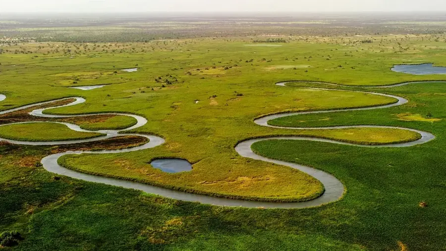 Habitatul Delta Rufiji — Ruvu (Tanzania)