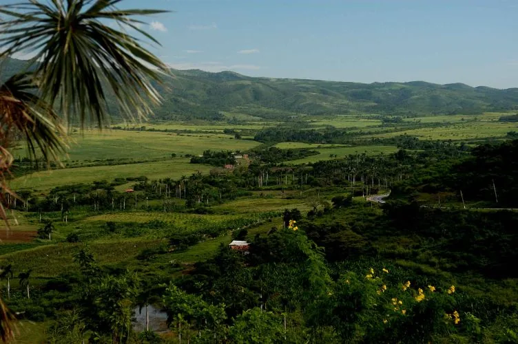 Valley of the Sugar Mills