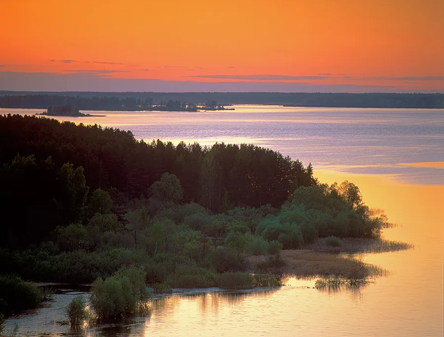 Darwin Nature Reserve