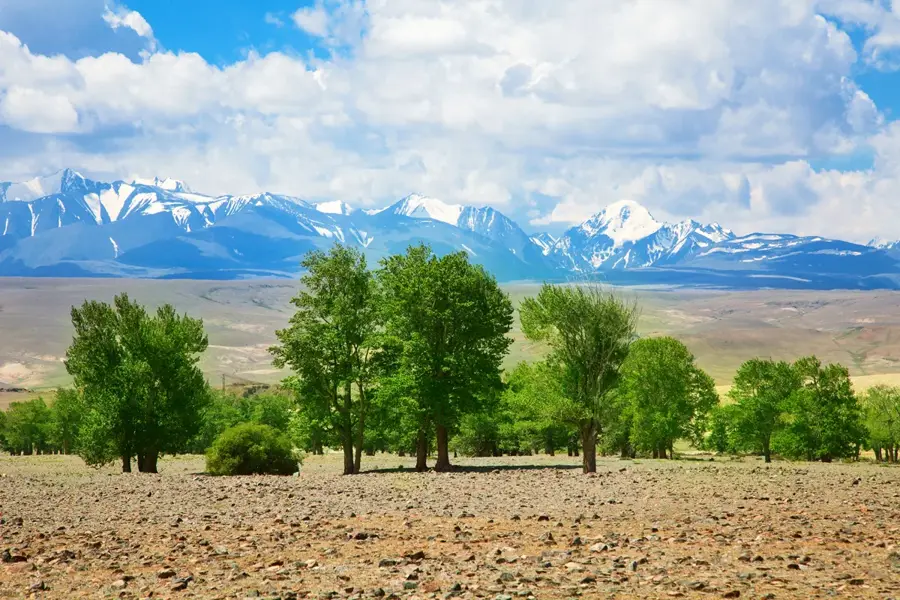 Goldene Berge des Altai