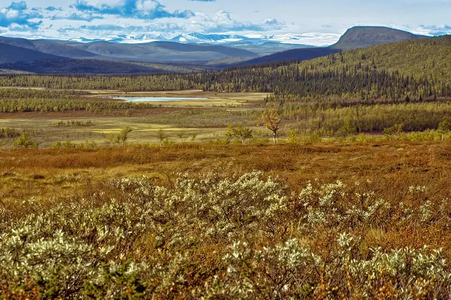 Lapland Nature Reserve