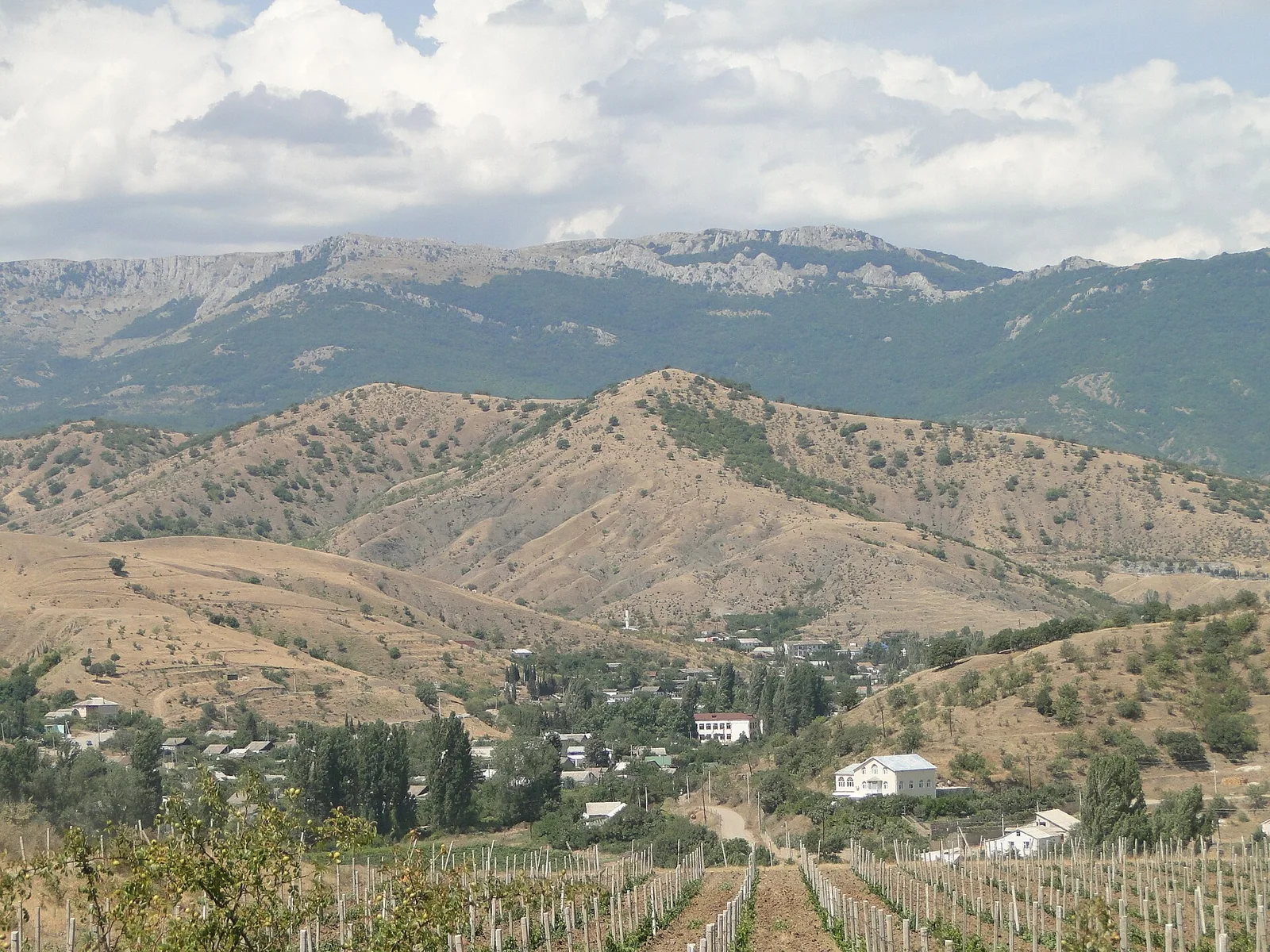 Privetnoe