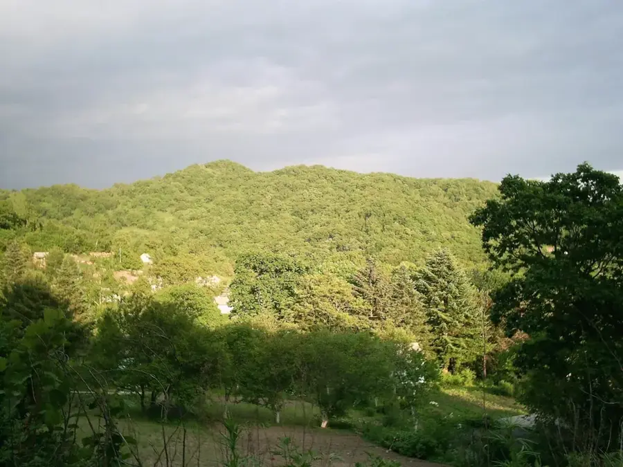 Sichote-Alin (Russland)
