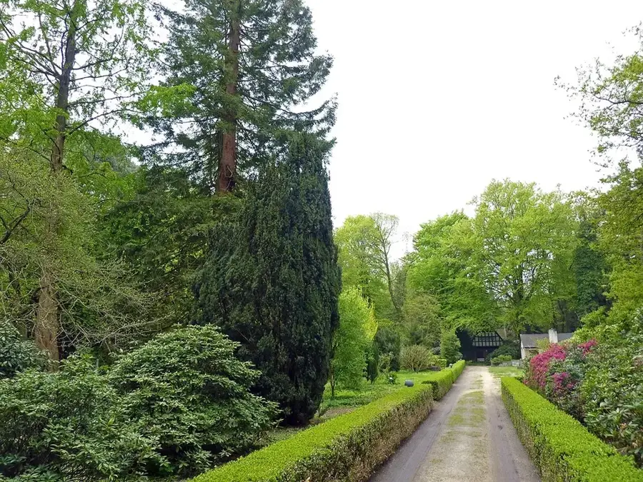 Arboretumul din Soci