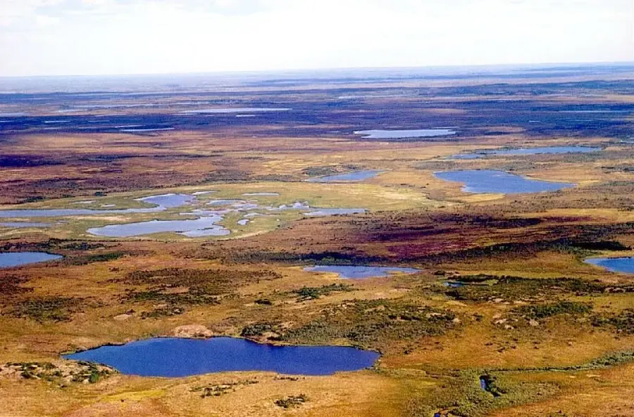 Peninsula Taimîr (Rusia)