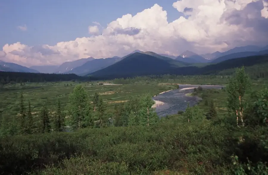 Virgin Komi Forests (Russia)