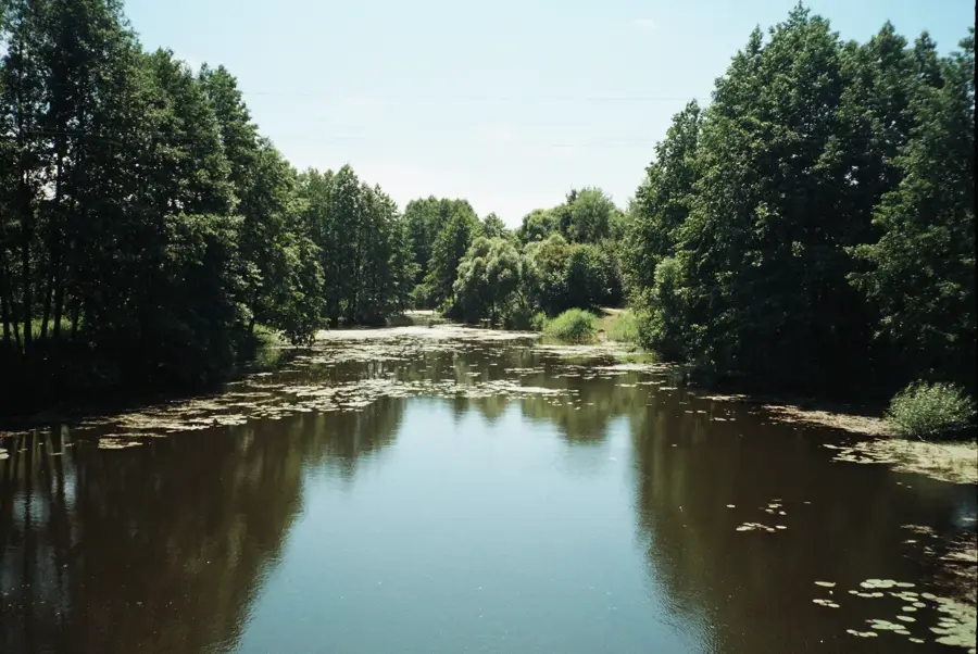 Rezervația Naturală Voronej