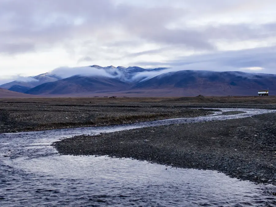 Wrangel Island Reserve