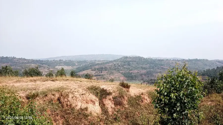 Ndora