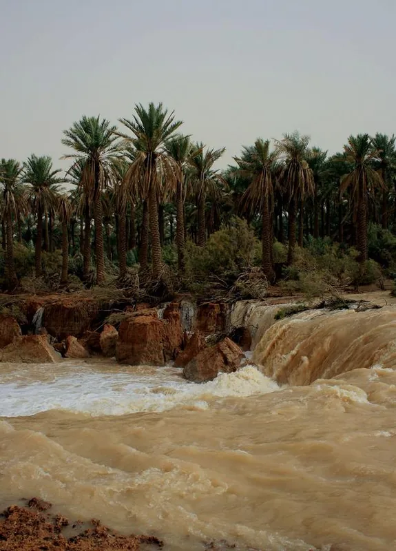 Wadi al-Rummah