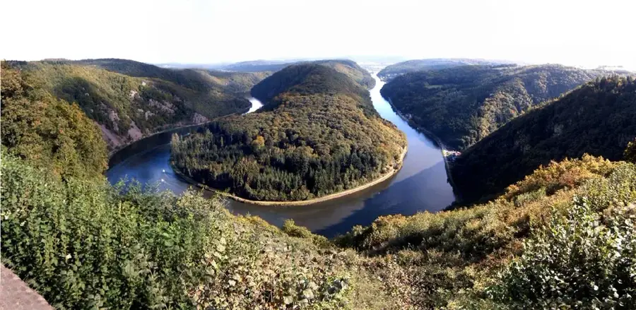 Szaár