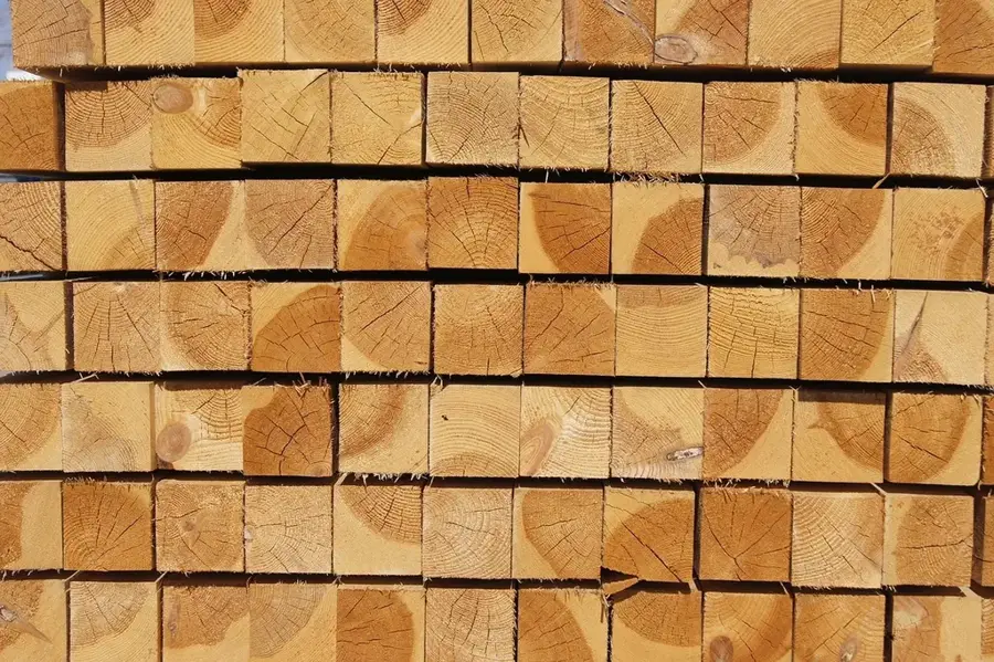 Nola Sawmill — Sangha River (Central African Republic)