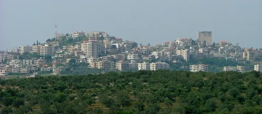 Szafita