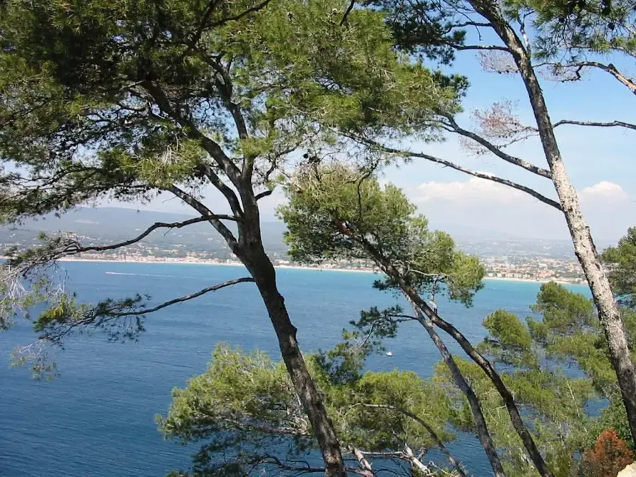 Saint-Cyr-sur-Mer – city