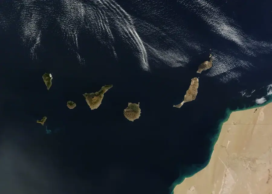 Canaries
