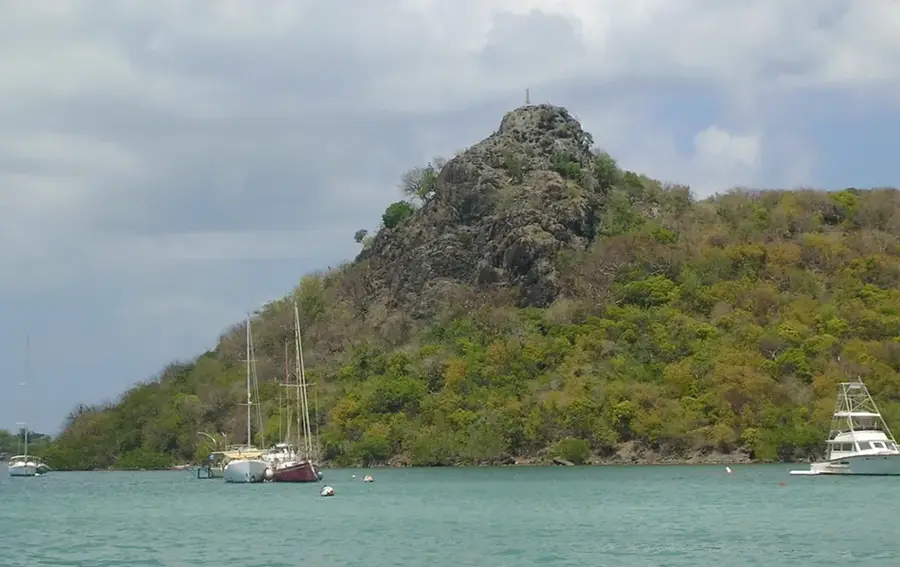 Marigot Bay Mangroven