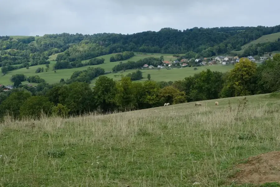 Mount Sion