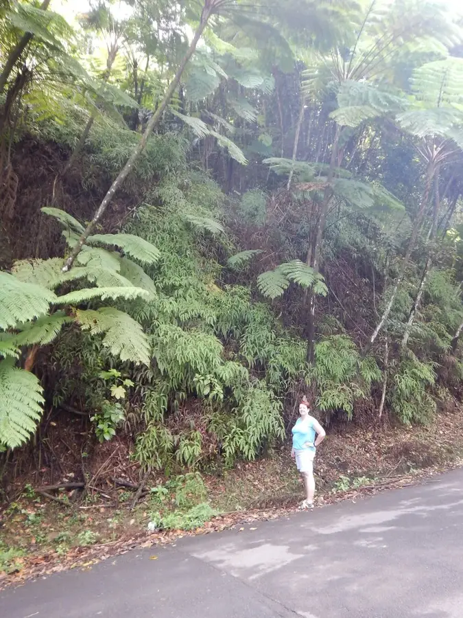 Piton Canarie
