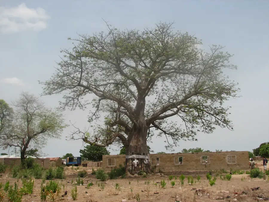 Sklavenmarkt von Salaga — Salaga (Ghana)