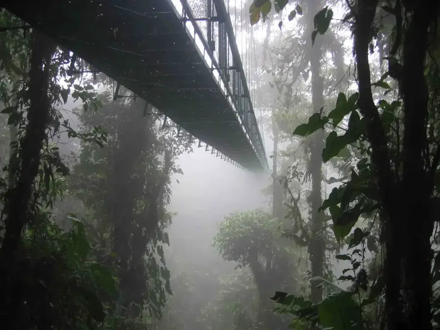 Falealupo Canopy Walk History