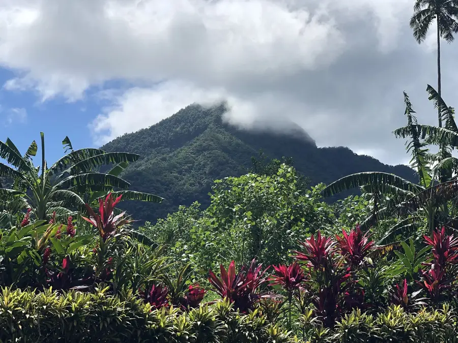 Falefa Bridge — Falefa (Samoa)