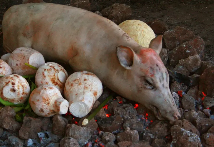 Le'auva'a — Vulkan Matavanu (Samoa)