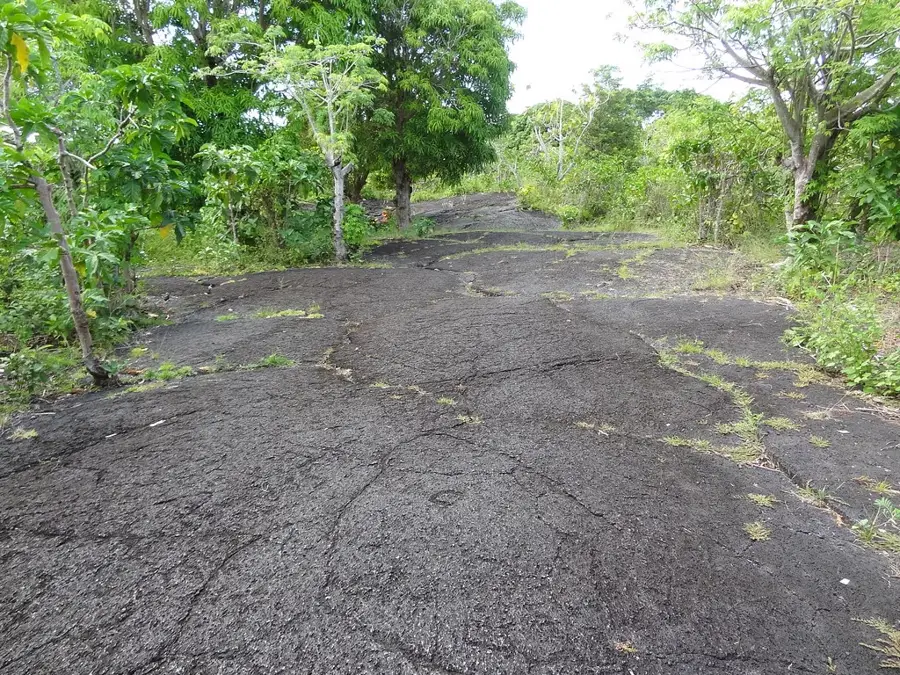 Saleaula Lava Fields