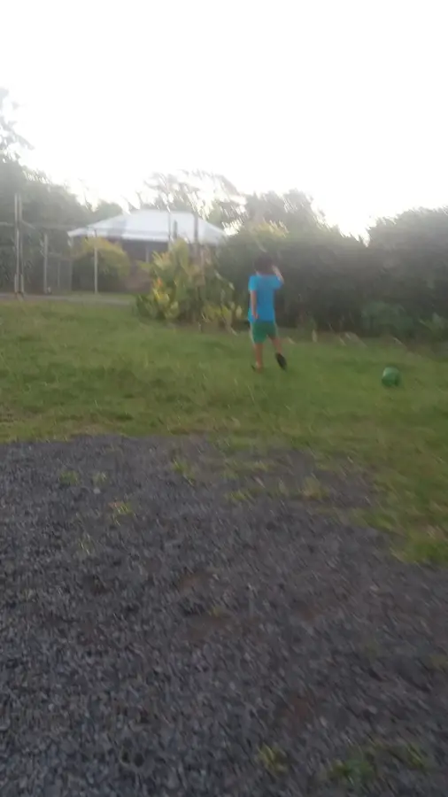 Vailele — Nu'usafe'e (Samoa)
