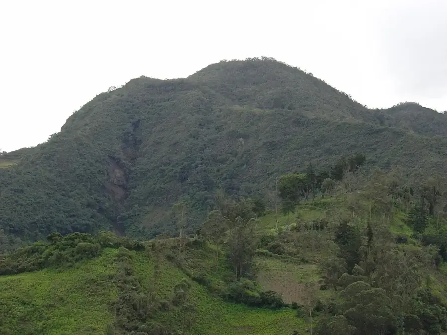 San Manuel