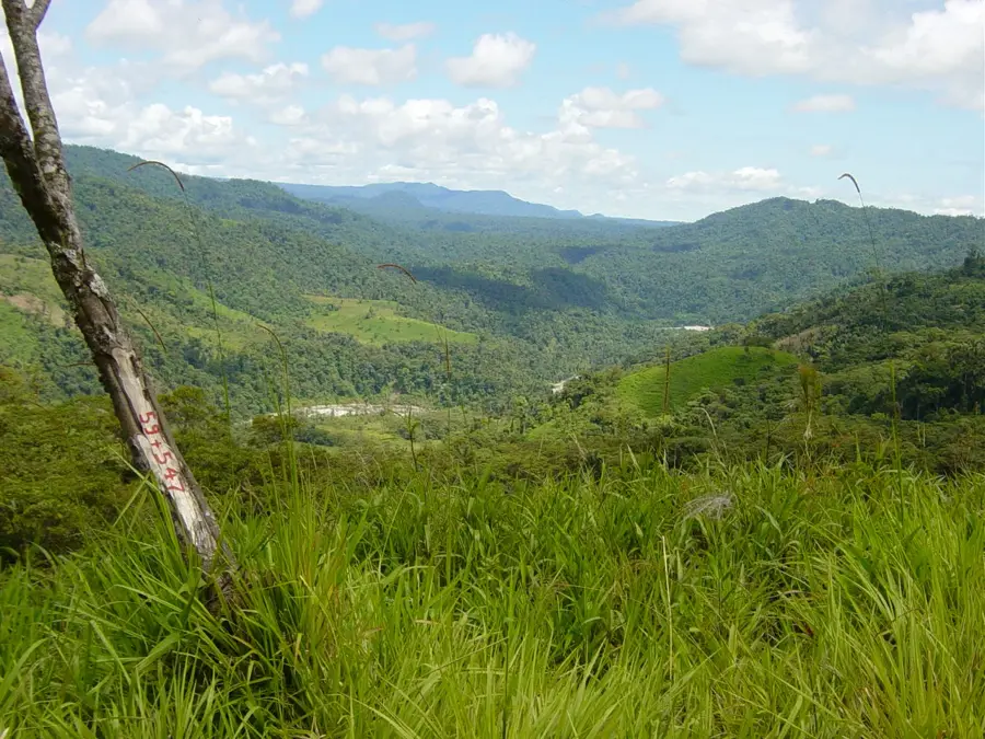 Sangay National Park — Frutadeli Pineapple Export (Ecuador)