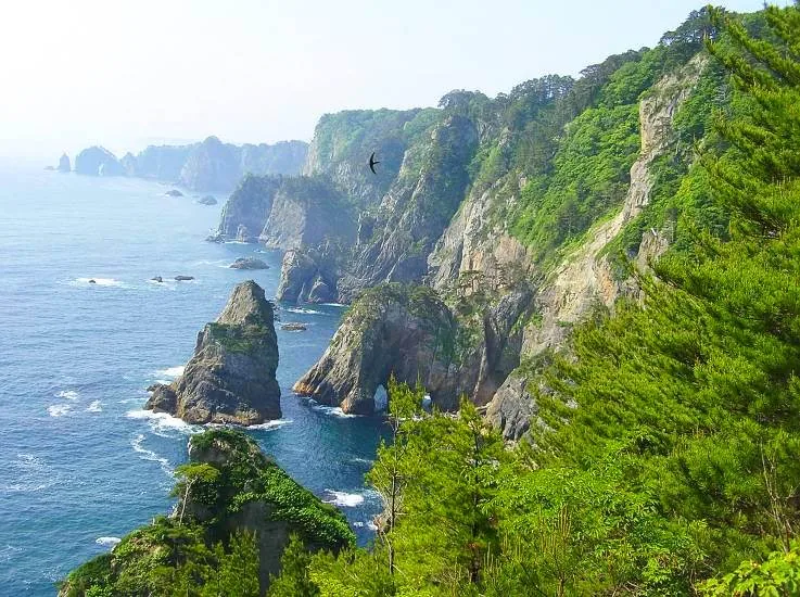 Sanriku-Küste (Japan)
