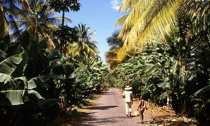 São Domingos