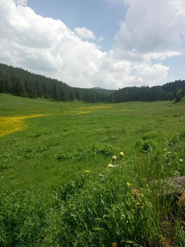 Sarıkamış-Allahuekber Mountains National Park