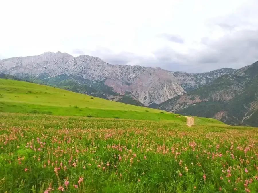 Sarkent-Nationalpark