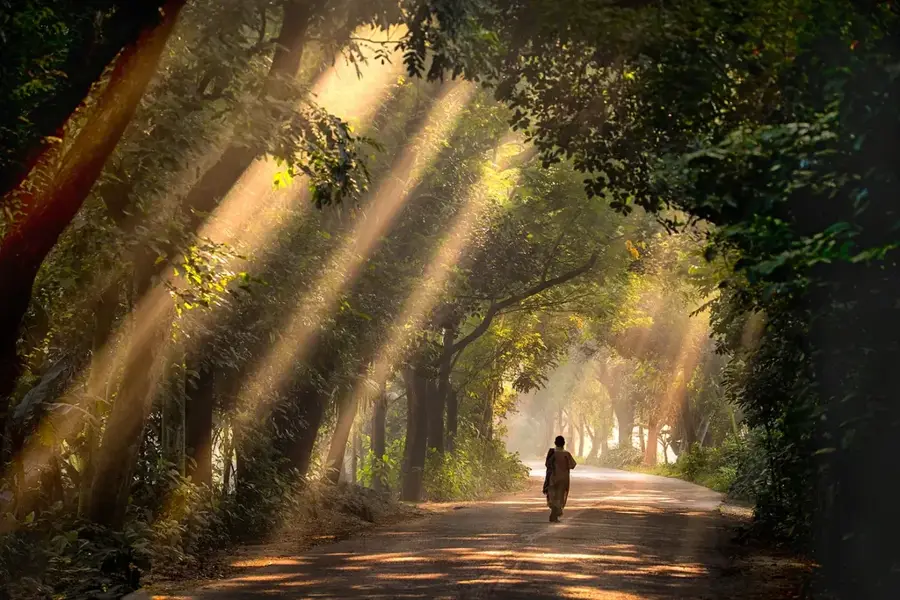 Satchari-Nationalpark — Surma (Bangladesch)