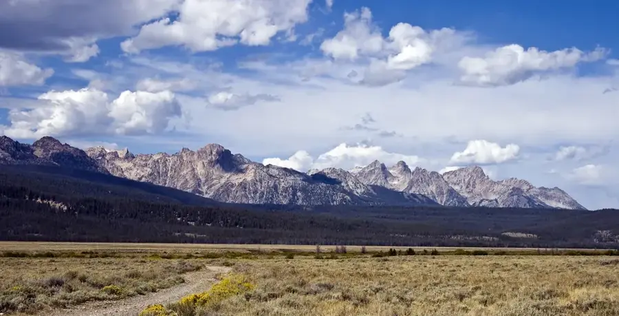Sawtooth National Forest — Idaho Potato Farms (United States)