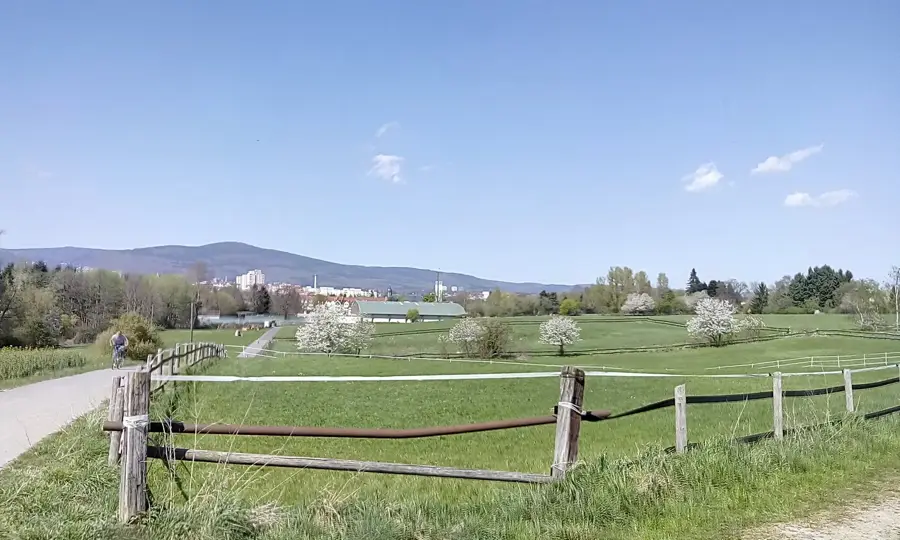 Schwalbach am Taunus – Stadt