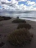 Ardrestranden