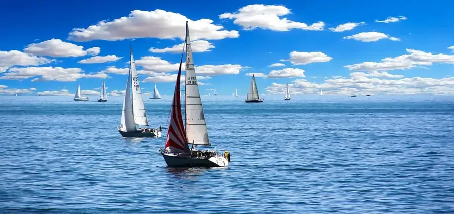 Seahorse Sailing School for Kids