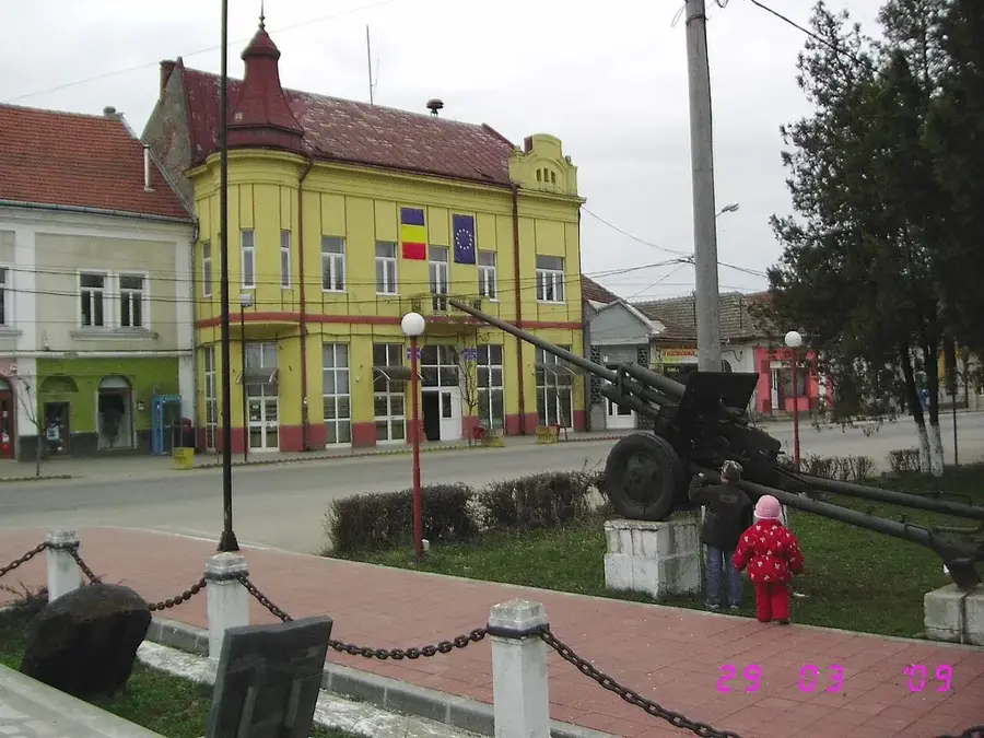 Seini – oraș