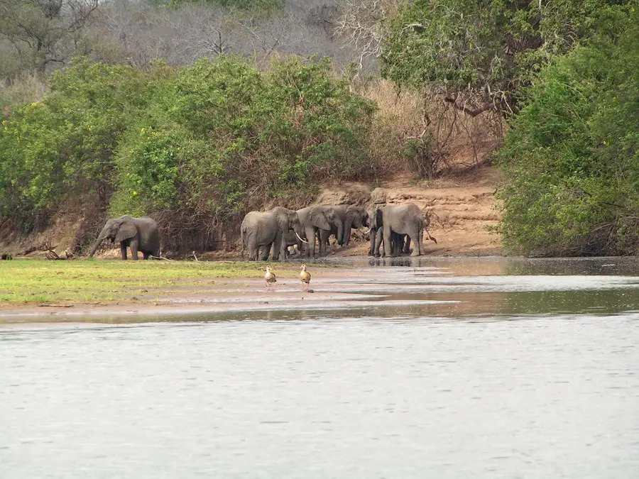 Selous Forest — Kondoa (Tanzania)