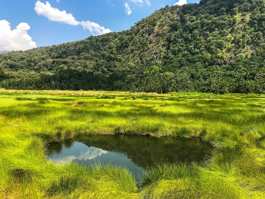 Parcul Național Semuliki — Bundibugyo (Uganda)