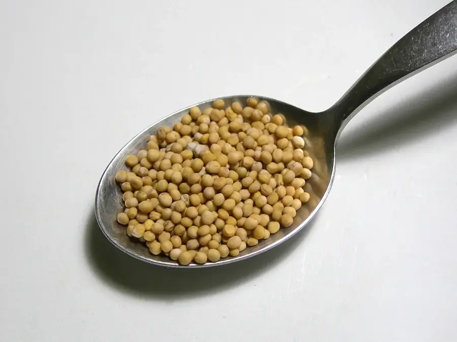 Orașul istoric Senefe — Soira (Eritreea)