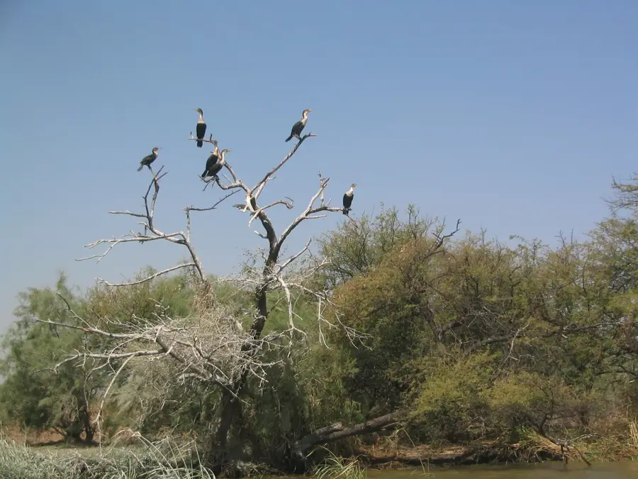 Nationalpark Djoudj