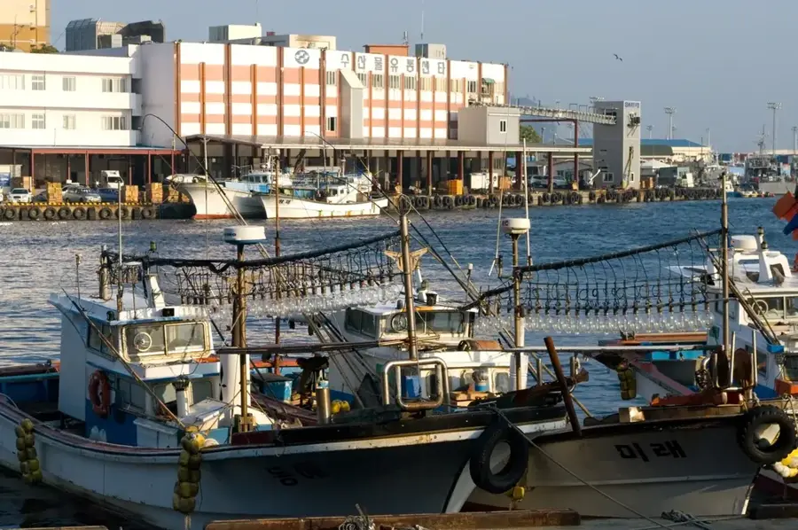 Seogwipo — Insula Jeju (Coreea de Sud)