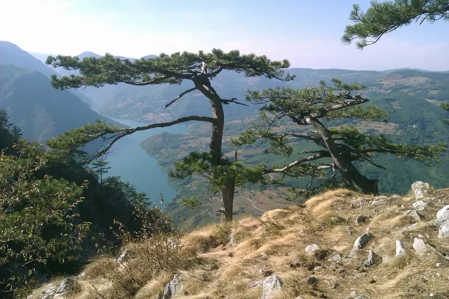 Banjska Stena Aussichtspunkt — Užice (Serbien)